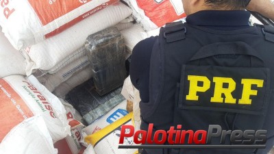 PRF apreende toneladas de maconha em meio à carga de milho no Paraná