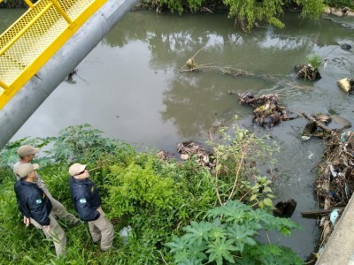 Mulher é encontrada morta dentro de rio com peças de concreto amarradas ao corpo