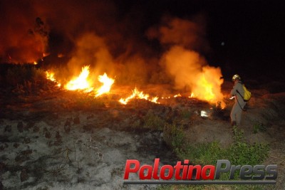 Palotina - Bombeiro Militar é acionado para conter incêndio ambiental no Pioneiro