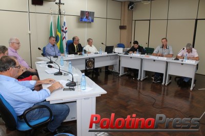Revisão a Lei Orgânica do município de Palotina é aprovada em primeiro turno