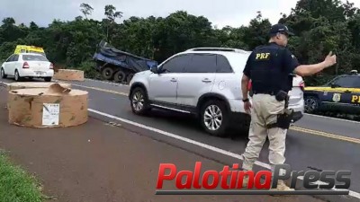 Motorista de caminhonete morre em colisão frontal na BR-277 em Céu Azul (PR)