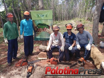 Capacitação - curso orienta sobre operação de motosserras 