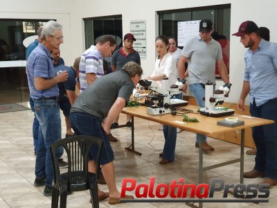 Sociedade Rural de Palotina e UFPR promoveram Minicurso de Diagnose de manchas foliares na cultura da soja