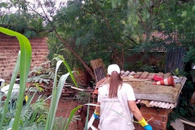 Paraná registra 57 mortes e mais de 76 mil casos por dengue
