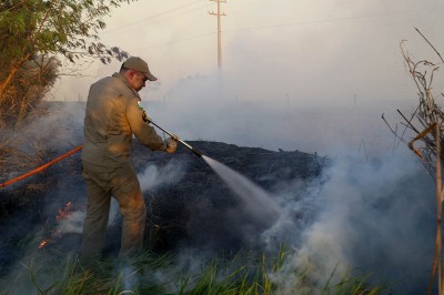 Incêndios ambientais crescem 33% no Paraná no 1.º trimestre