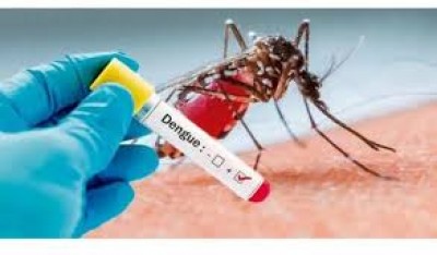 Palotina realiza mutirão de limpeza contra dengue 
