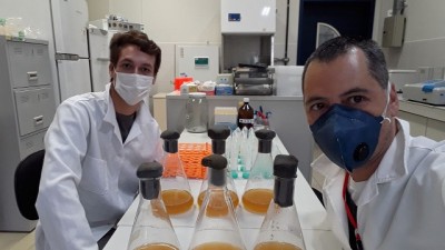 UFPR - Pesquisa aponta avanços para testes imunológicos de Covid-19