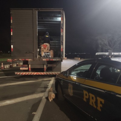 PRF encontra produtos falsificados em caminhão-baú com destino à Cascavel