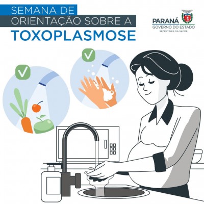 Saúde alerta sobre riscos de toxoplasmose na gravidez
