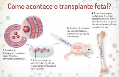 UFPR participa de pesquisa sobre novos tratamentos via transplante fetal