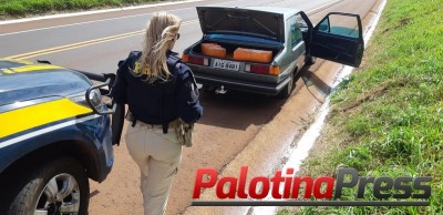 PRF prende motorista bêbado, sem carteira e com mais de 230 quilos de maconha no carro no Paraná