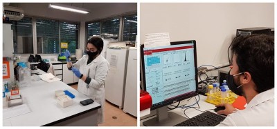Testes em camundongos apontam que vacina contra Covid-19 em desenvolvimento na UFPR é eficaz em duas doses