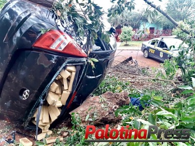 PRF apreende maconha após acompanhamento tático. Fugitivo só parou após colidir em uma árvore