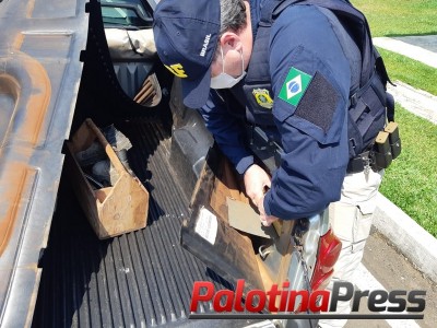 PRF apreende quase 70 quilos de maconha na carroceria de uma “pickup” em Guarapuava (PR)