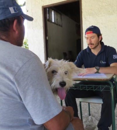 UFPR coordena estudo sobre covid-19 em pets; equipe recruta animais com tutores que testaram positivo em cinco capitais
