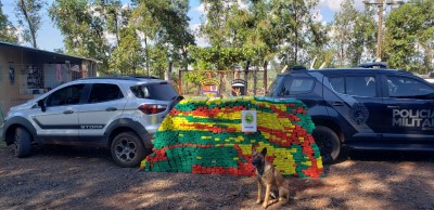 PELOTAO DE OPERAÇÕES COM CÃES DO BPFRON APREENDE MAIS DE MEIA TONELADA DE MACONHA EM PATO BRAGADO-PR