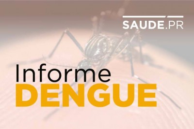 Paraná tem 106 casos de dengue e o primeiro caso de Zíka Vírus