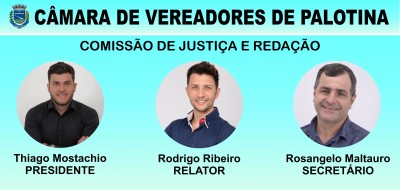 Comissões permanentes tem a missão de analisar projetos e emitir parecer   