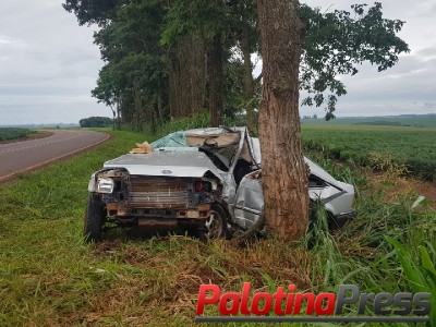 Palotina: Acidente deixa uma vítima fatal próximo a Linha Madrugada