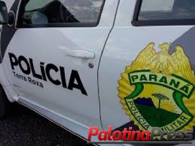 Homem é detido pela PM após agredir ex em Terra Roxa