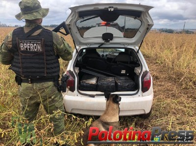 BPFRON E POLÍCIA FEDERAL APREENDEM VEÍCULO CARREGADO COM INSUMOS DE SUPLEMENTOS VITAMÍNICOS DURANTE OPERAÇÃO HÓRUS EM TERRA ROXA