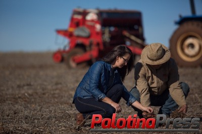 Sicredi está entre as instituições que mais liberaram recursos ao agronegócio, segundo rankings do BNDES e FEBRABAN