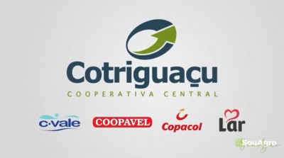 Pedágio e ferrovia são os desafios de Alfredo Lang ao assumir a Cotriguaçu