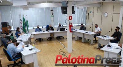 Em sessão ordinária vereadores de Palotina aprovam projetos e apresentam sugestões