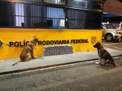 PRF apreende 68 quilos de cocaína com auxílio de cães farejadores na região metropolitana de Curitiba (PR)