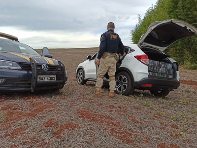 PRF apreende 584 kg de maconha transportados em veiculo roubado