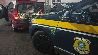 PRF prende mulher transportando quase 250 kg de maconha em Campo Mourão