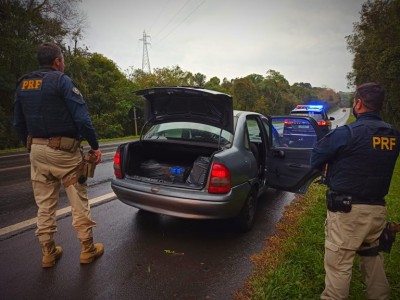 PRF apreende cocaína, maconha e crack durante o fim de semana no Paraná