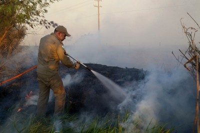 Palotina - Súbito aumento no número de incêndios em vegetação preocupa e Corpo de Bombeiros emite alerta. Entenda!