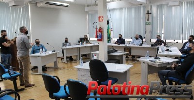 Policias expõem a vereadores sugestões para atendimento a vítimas de violência doméstica 