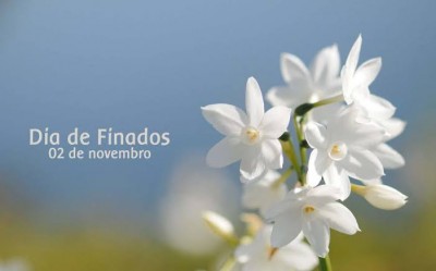 Horários para serviços de limpeza e visitação no Cemitério Municipal de Palotina são estabelecidos. Confira!