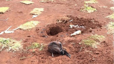 Atos de vandalismo e rituais em cemitério de Cascavel