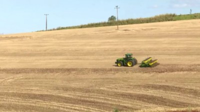 Paraná inicia colheita da soja; quase 6 mi de hectares foram plantados no estado