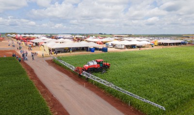 C.Vale e empresas aceleram preparativos para dia de campo