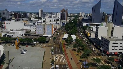 Cascavel confirma primeira morte por dengue; vítima é uma jovem de 29 anos