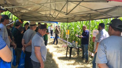 C.Vale realiza Dia de Campo em Assis