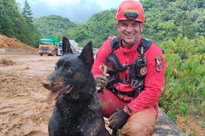 Paraná vai mandar novos bombeiros com cães de busca para o Rio Grande do Sul