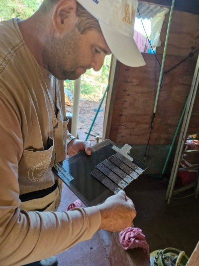 Saúde apresenta primeiros resultados de projeto que monitora infestação do mosquito transmissor da dengue, zika e chikungunya