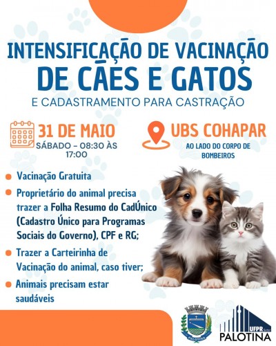 Palotina promove ação de vacinação e cadastramento para castração de cães e gatos neste sábado 