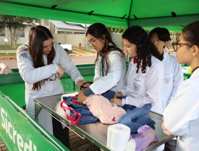 Palotina realiza intensificação de vacinação de cães e gatos no Bairro Pioneiro