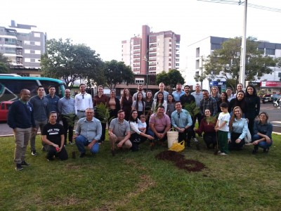 Sicredi e Seagro realizam plantio de árvores na Praça Amadeo Piovesan