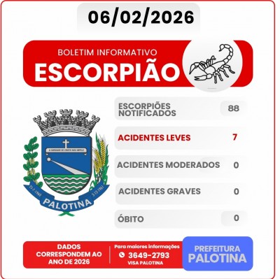 Boletim aponta 88 escorpiões notificados em Palotina em 2026