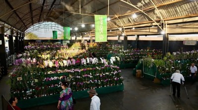 Mais de 4 mil pessoas passam pela Festa das Orquídeas e do Peixe no primeiro dia em Maripá