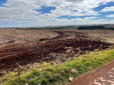 Programa Caminhos do Progresso beneficia produtores rurais de Palotina