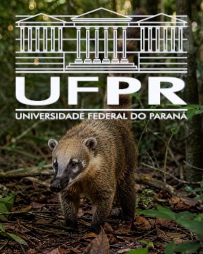 Capacita Fauna reúne 34 municípios em Palotina para treinamento sobre resgate de animais silvestres