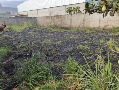 Incêndio em vegetação mobiliza bombeiros e ameaça residências no Jardim Diamante